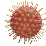 COVID Virus Image